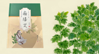 【行業(yè)資訊】國內(nèi)首部艾草專著《南陽艾》，在南陽新書首發(fā)！