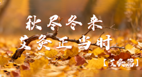 【健康/艾灸】秋盡冬來，艾灸正當(dāng)時(shí)——解鎖季節(jié)交替的養(yǎng)生密碼！