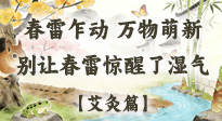 【二十四節(jié)氣灸】春雷驚醒濕氣！驚蟄艾灸3穴，疏肝祛濕養(yǎng)元氣！